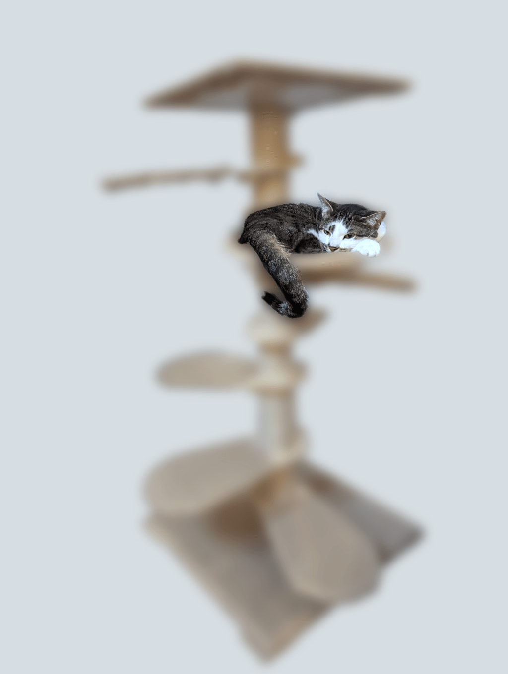 Patent Pending Status is&nbsp;Impending!