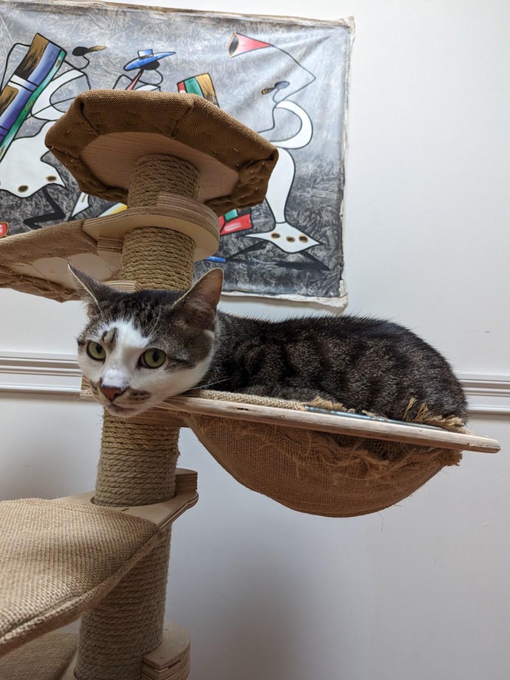 Durability Check-in (Mk1&nbsp;V1.5)