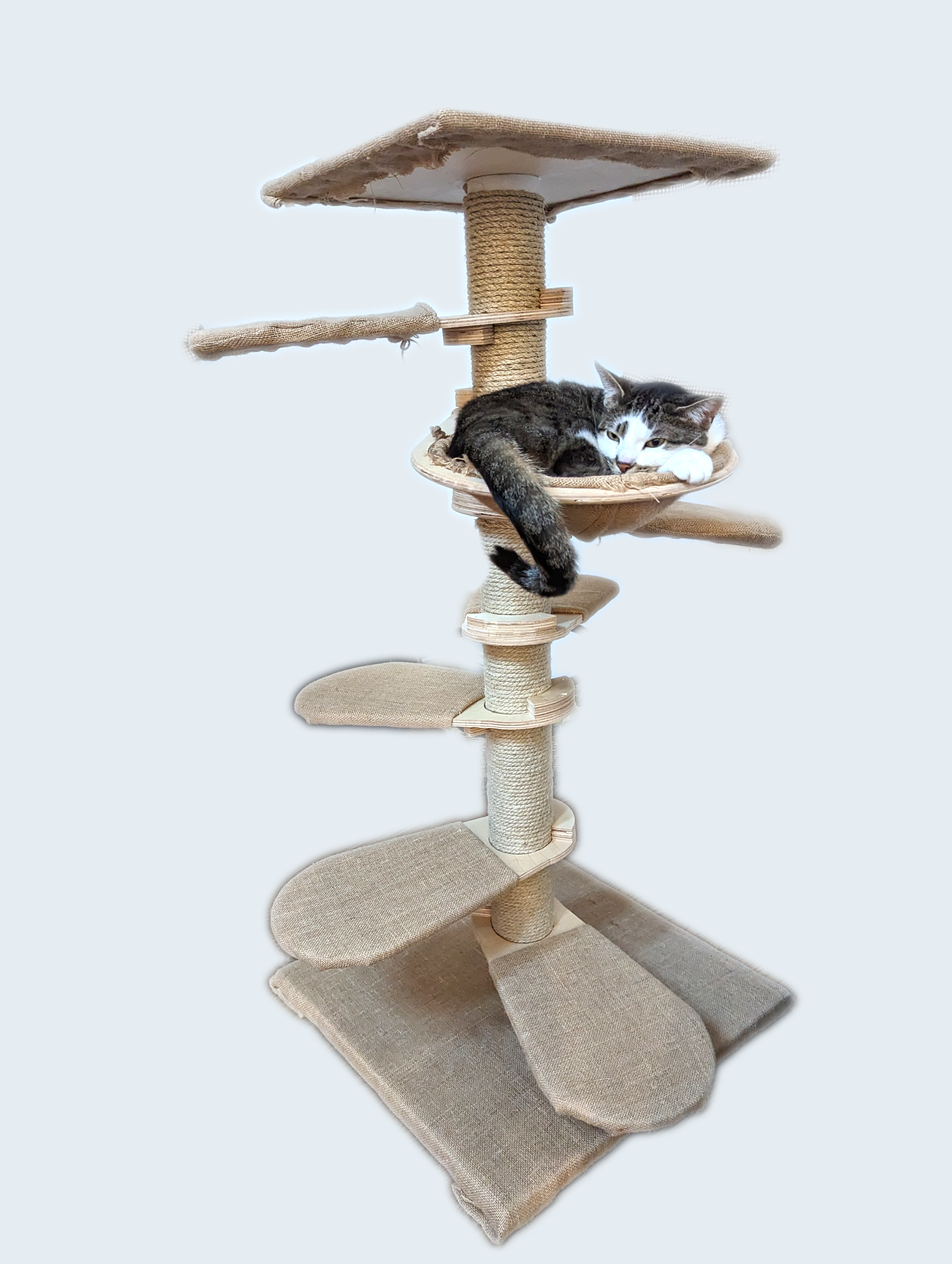 Picture of Leaf Tree product with grey and white cat in the hammock leaf