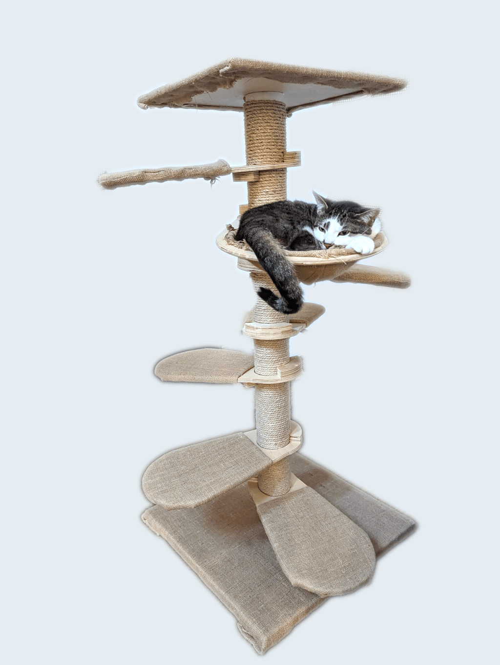 Patent Pending status&nbsp;granted!