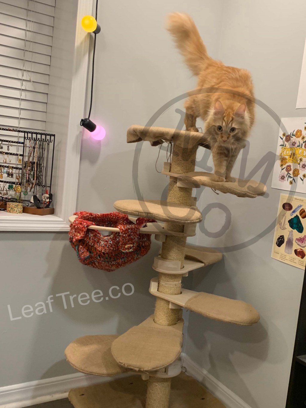 New Testing Location