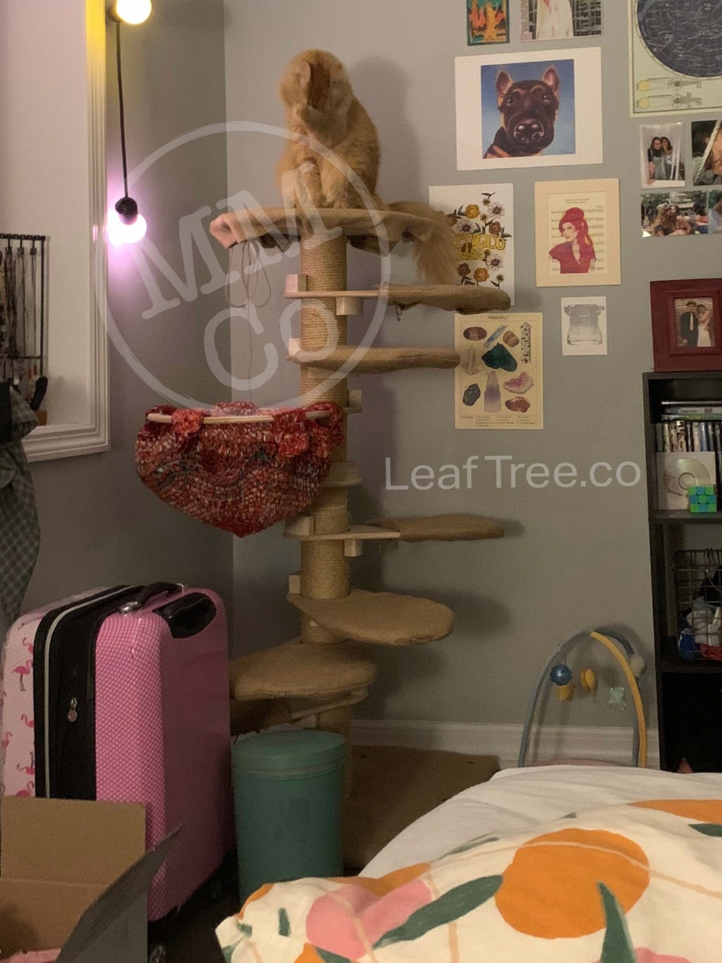 Happy Product-Tester